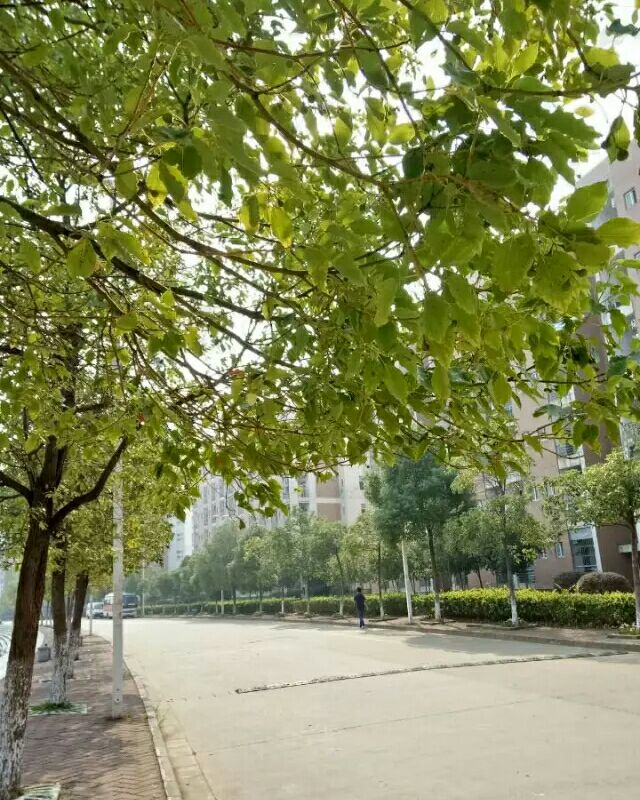 1478055449936916.jpg 15.jpg